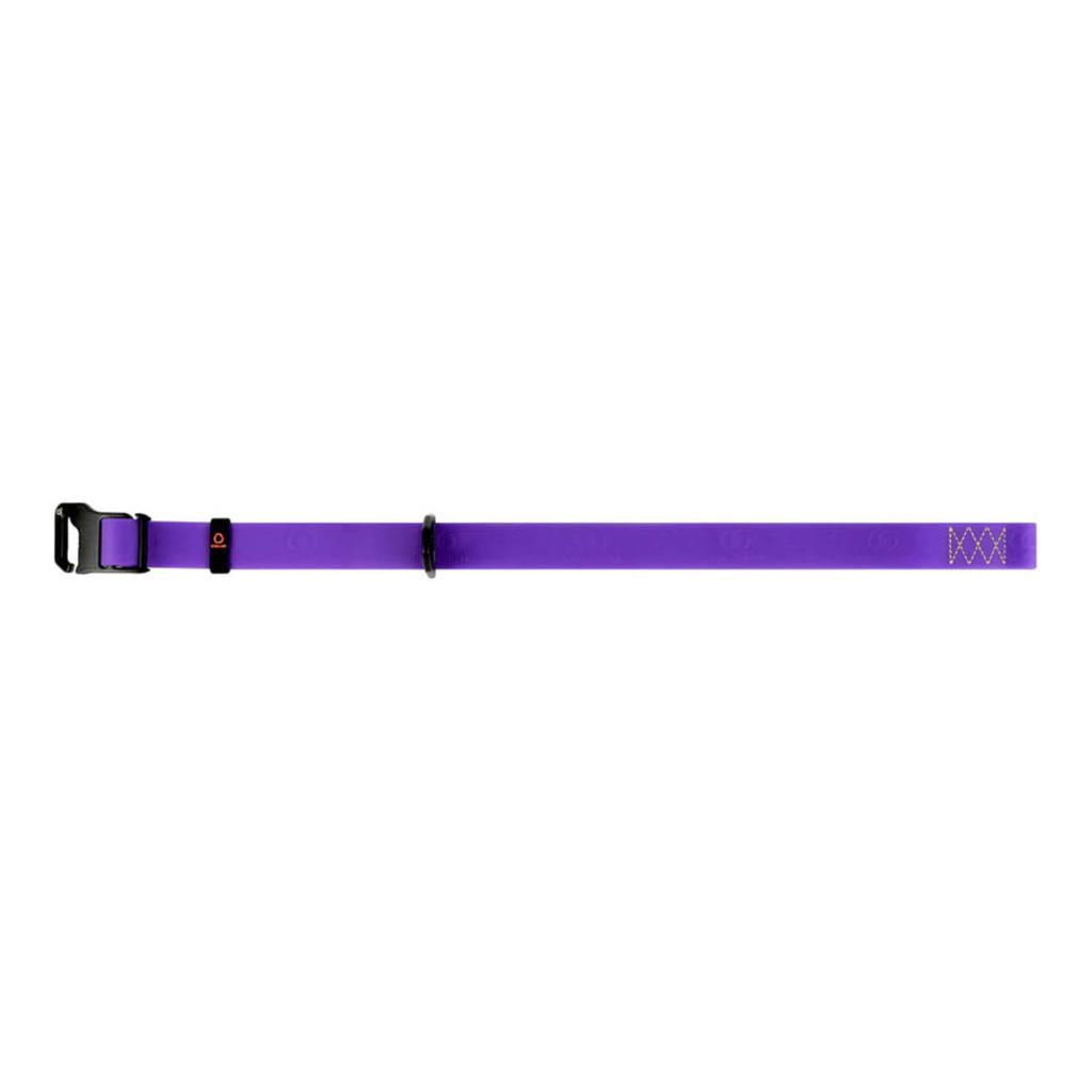 Collare EVOLUTOR, misura universale regolabile IL COLLARE DUREVOLE (larghezza 25 mm, lunghezza 25-70 cm)