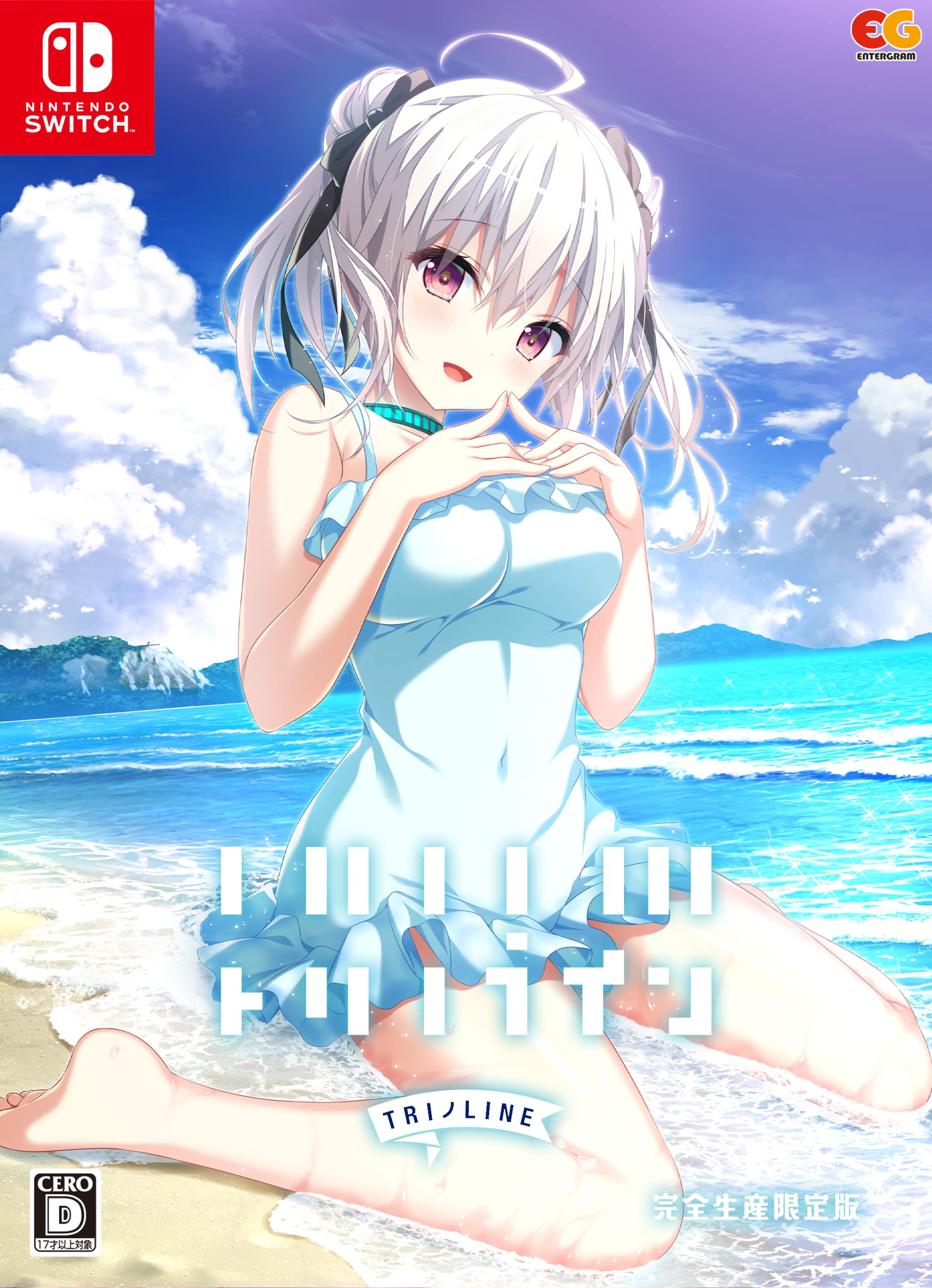 

Torino Line Completely Limited Edition Acrylic ornament included -Switch [Bonus]