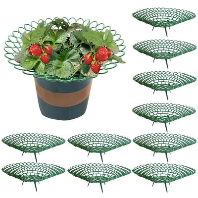 20 PIEZAS Soportes para Fresas Con 3 Pies de Soporte Resistentes Manteniendo Planta Fruta Soporte Estante de Cultivo de Verduras Herramientas de Jardín