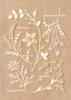 LECIEN Embroidery Printed Atelier De Nora Flower Mocha 542308 (Lucien) Kit, Cloth, Cosmo, (Small Encyclopedia), Beige, No.
