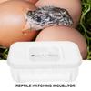 12 Grids Reptile E-egg Incubation Tray Tray Gecko Lizard Snake Eggs Incubation Insect Keeping Box Incubator Tray Breeding Tool