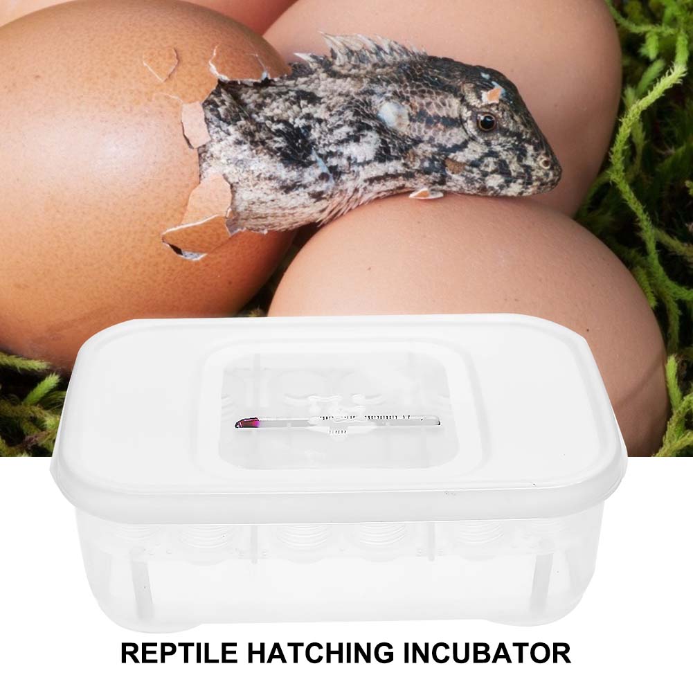 12 Grids Reptile E-egg Incubation Tray Tray Gecko Lizard Snake Eggs Incubation Insect Keeping Box Incubator Tray Breeding Tool