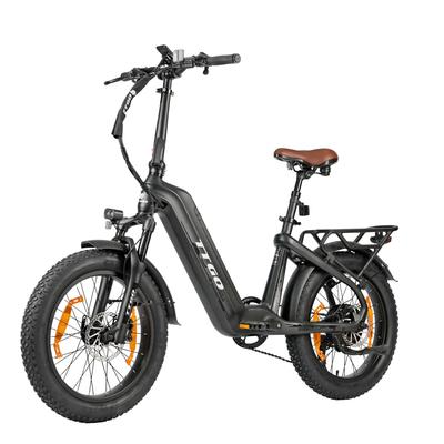 TTGO F8 City Hight-End Electric Bicycle 48V18Ah Battery 20 Inch Fat Tires 250W Motor 25 Km/h Speed 150KG Load Outdoor Riding E-Bike