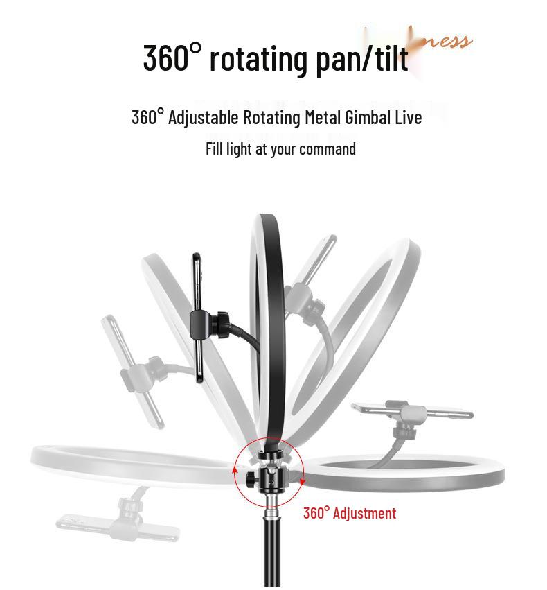 Dual-Position Carbon Steel Phone Stand with Fill Light for Outdoor Streaming