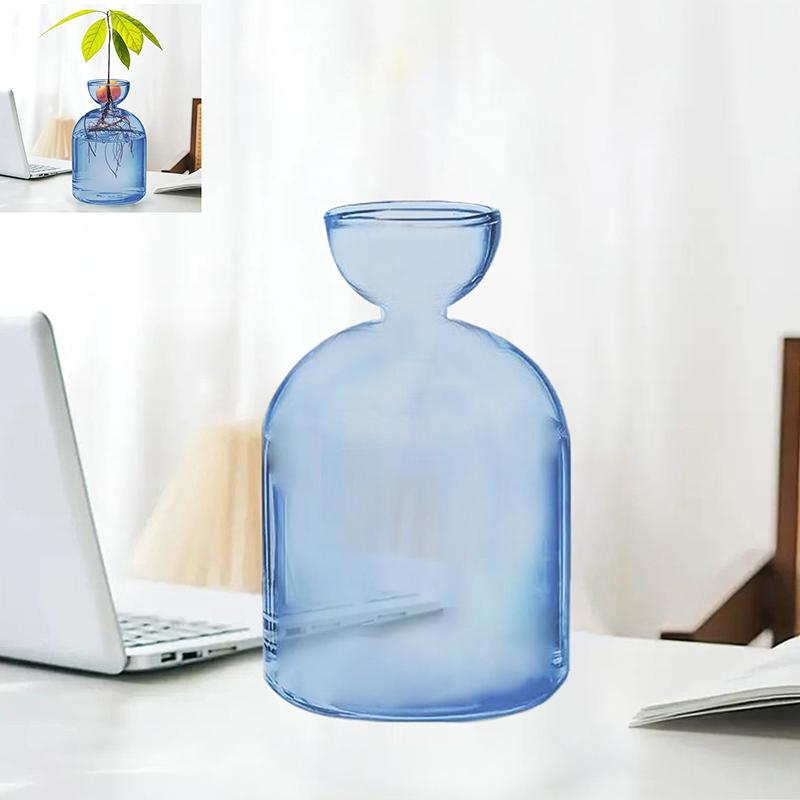 Colorful Transparent Avocado Hydroponic Vase Glass Avocado Seed Starter Vase Plant Seed Growing Kit Gardening Lovers Home Decor