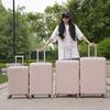 Fashion Zipper Luggage with Universal Wheels