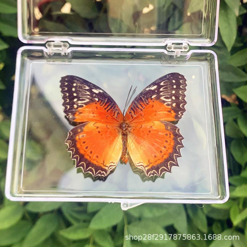 

Student Creative Birthday Gift Transparent Box Packaging One Size жёлтый