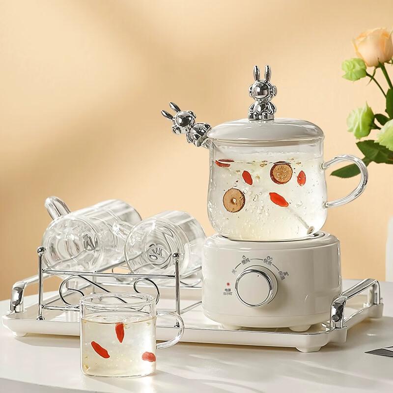 Jingxun Multifunction Mini Electric Stew Cup & Tea Maker CN plug (adapter included)