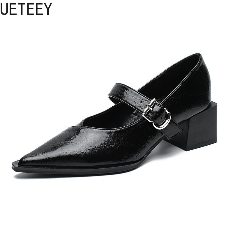 Fashion Designer Vintage Pointed Toe Women Mary Jane Shoes Fashion Shallow Buckle Shoes Spring Ladies Elegant Dress Thick Heel Shoes