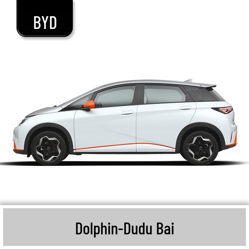 

BYD Dolphin Scratch Repair Paint Pen: Vehicle-Specific Colors in Dudu White, Pupu Pink, Beibei Grey Single paint pen