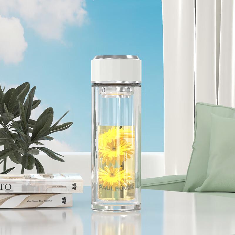 Paul Frank Glass Water Bottle with Tea Infuser