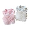 Breathable Dog Puffy Dress Summer Corgi Teddy Clothes Cute Pet Dress  for Small Dog Cat