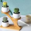 Durable Planter Tray Anti Deformed Bamboo Plants Pot Holder Stand for Succulent