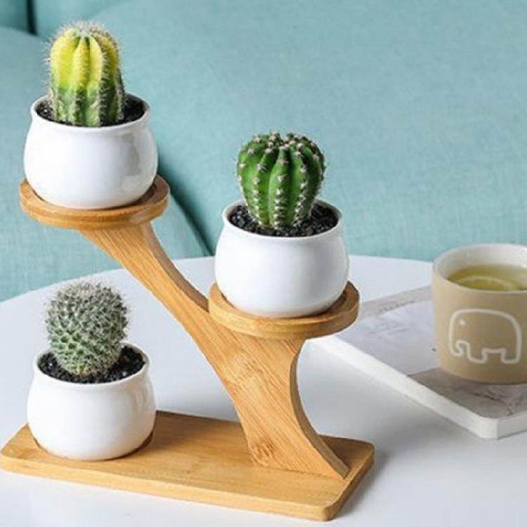 Durable Planter Tray Anti Deformed Bamboo Plants Pot Holder Stand for Succulent