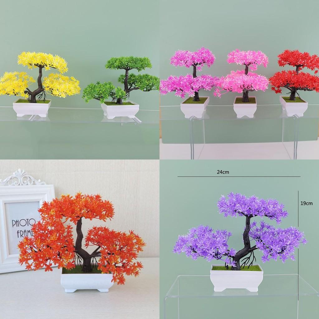 Plumosus Apargus Baker Plastic Faux Bonsai For Indoor Decoration Tabletop