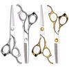 6-Inch Professional Hairdressing Scissors & Thinning Shears Set