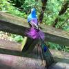Room Mini Decoration Home Garden Wedding Feathers Artificial Birds Emulation Bird Fake Peacock