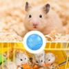 Hamster Übungsball Transparent Hamster Laufball Rad Spielzeug Für Grounder Ratte Kleintiere Haustierbedarf 10cm