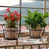 Plant Shelf Easy-Installation Multi-Use Iron Fence Balcony Hanging Flower Basket Home Decoration