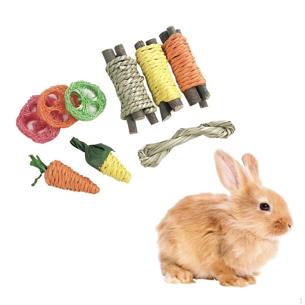 9x Hamster Chew Toys ,Tree Branch/Corn Chewing Grinding Toy for Small Animals, Squirrel ,Playing