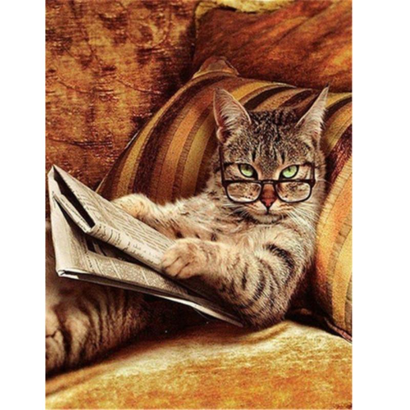 Трусики жоқ кеңседегі қыздар Жеке куннилингус