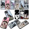 Phone Cover for Samsung Galaxy A07 A13 A12 A14 A23 A42 A50 A51 A52 A53 A70 A71 A72 A21S A04 Note 20 9 8 10 Case Husky Dog Casing