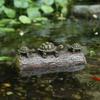 Floating Frog Ornament for Garden Ponds & Fountains