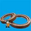 10pcs DC 80x110x10 Double Spring Rotary Tiller Tractor Oil Seal 80x110x10