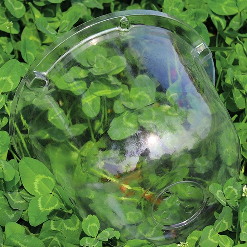 Clear Nursery Protectors Transparents Protecting Cover Greenhouses Enhances Plant Growth In Greenhouses