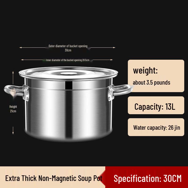 Extra Thick Stainless Steel Pot with Lid