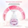Foam Flower Antibacterial Hand Soap - Long-Lasting Fragrance, Gentle for Kids, Whole Box Batch