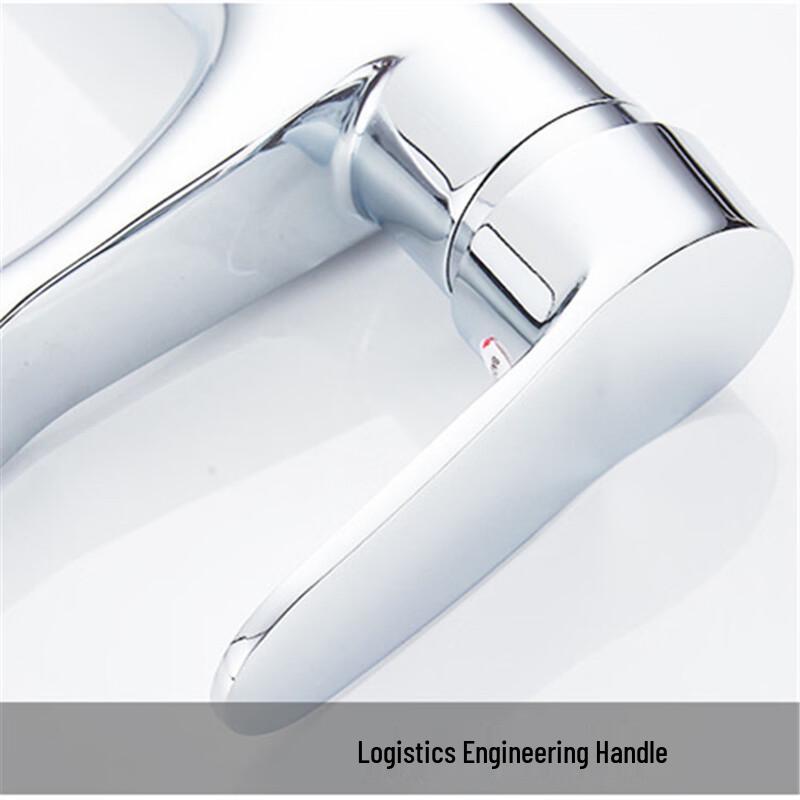 TLXT Stainless Steel Hot & Cold Basin Faucet