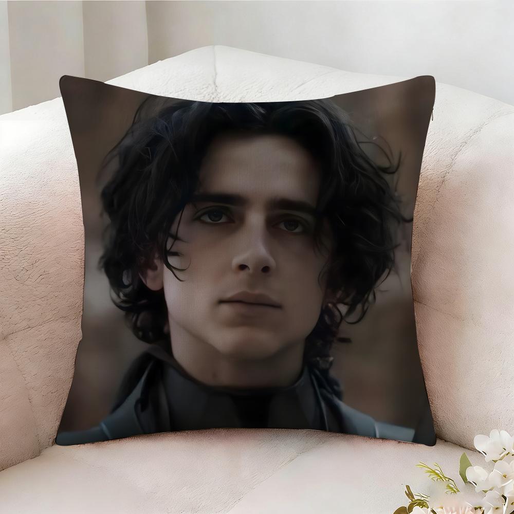 TTimothee Chalamet Pillow Case Pillowcase Doublesided Printed Sofa Cushion Bedroom Headboard Pillow 30X30cm