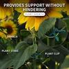 Plant Support Clips for Climbing Plants,Garden Vine Fixing Clips for Tomato Vegetable Vines for Backyard Farm Gardening Daily Plant Care Work