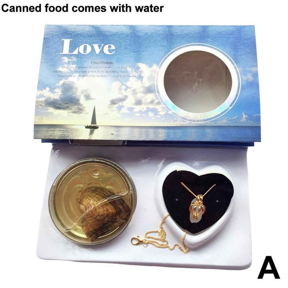 Wish Pearl Necklace Kit Innovative Chain Charm For Holiday Gift Diy Jewelry Making DIY Wish Pearl Necklace Kit