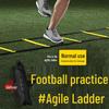 Sports Agility Training Ladder