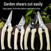 Garden Pruning Shears for Potted Plants, Fruit Trees & Flower Branches