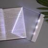 Lampada da lettura per studenti Lampada da lettura a LED regolabile Protezione degli occhi Lampada da lettura per apprendimento notturno Lampada da lettura per dormitorio Lampada da lettura per apprendimento scolastico Forniture scolastiche Regalo