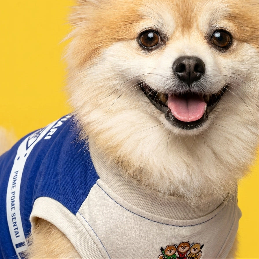 POME POME SENTAI 2026 SS Tank Top | Personalized Pomeranian Ranger Tank p-3-s красный