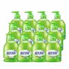 Blue Moon Aloe Vera Foaming Hand Wash, 12-Pack