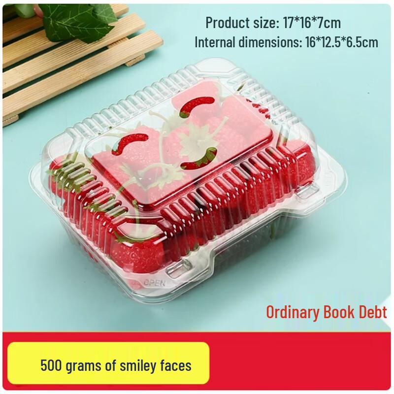 Shengbi Lai Disposable Fruit Takeout Containers