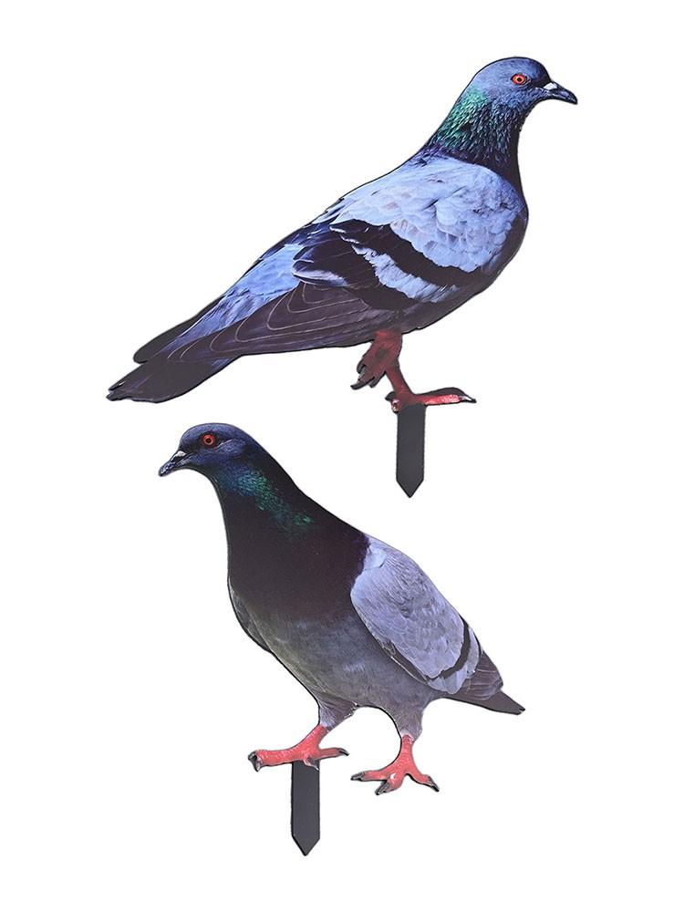 Garden Pigeon Outdoor Space Package Content Statue