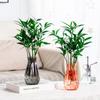 Creative transparent hydroponic plant flowerpot, green ivy, copper money grass, imitation glass vase, plastic resin ornament