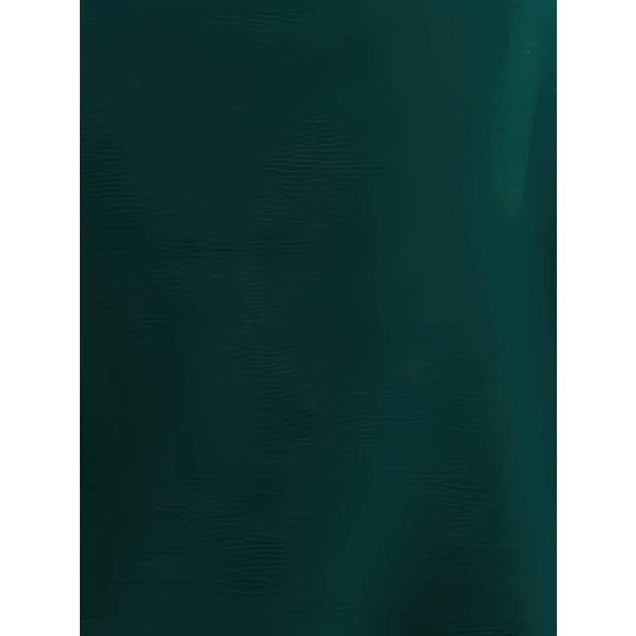 Hanorac căptușit cu lână pentru sport pentru timpul liber pentru femei Pulover cu mâneci lungi, gât rotund, top îmbrăcăminte sport la modă, îmbrăcăminte stradală de toamnă și iarnă