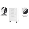 File Cabinet 3 Drawer With Lock Printer Stand Lateral Mobile Under Desk Organizer Wooden Wheels Adjustable Shelves Home Room
