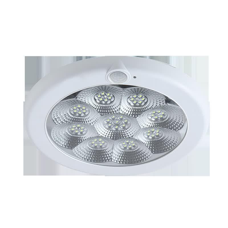 LED Plum Blossom Sensor Ceiling Emergency Light