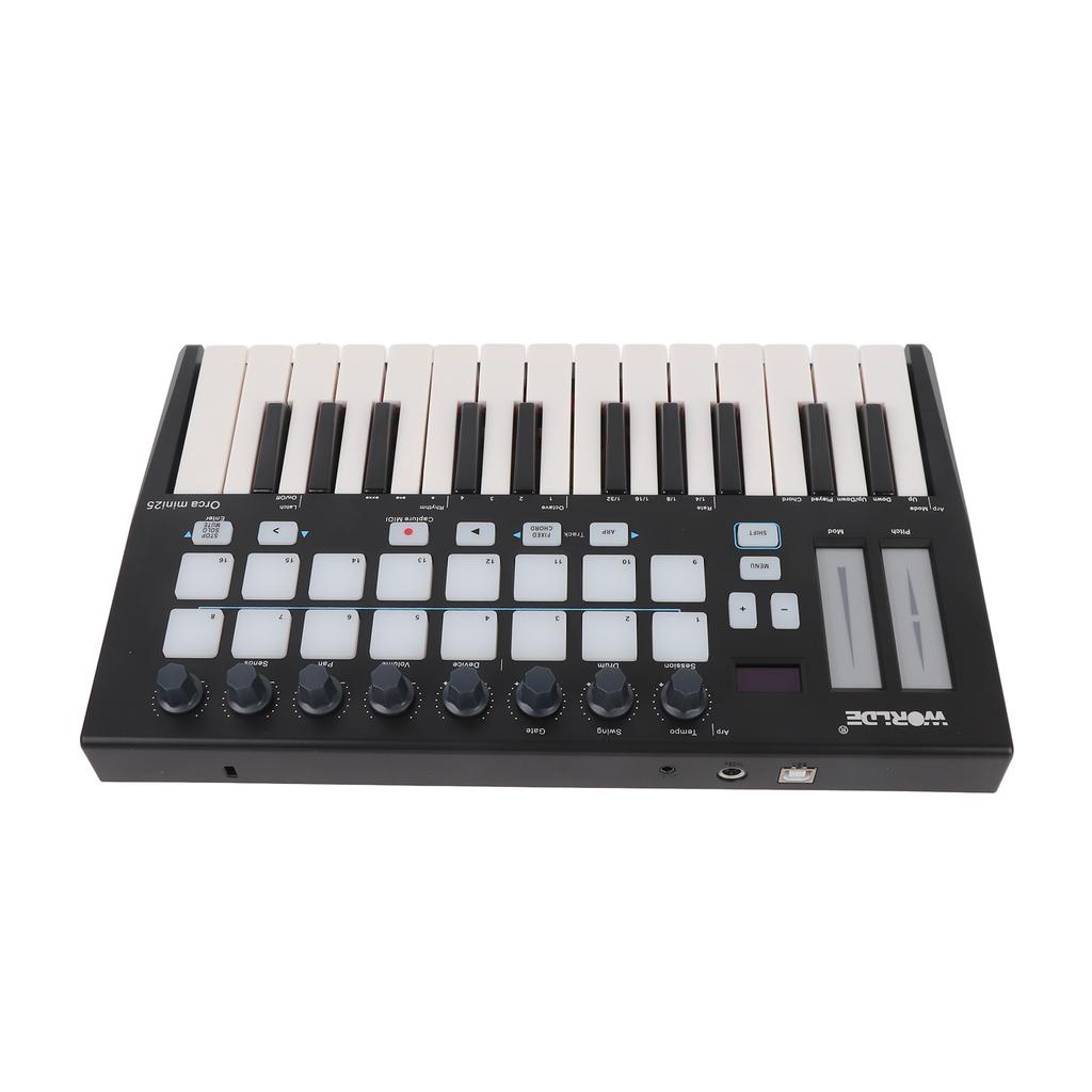 Portable 25 Key USB MIDI Keyboard Controller with 16 RGB Backlit Trigger Pads 8 Assignable Control Knobs