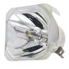 Zorsika Original Projector Lamp for Panasonic ET-LAL510 / PT-X388C
