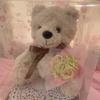 [USED] Teddy Bear Stuffed Animal Interior Preserved Flower Gift Celebration