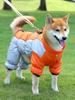 Ropa y calzado – Abrigos y chaquetas para perro